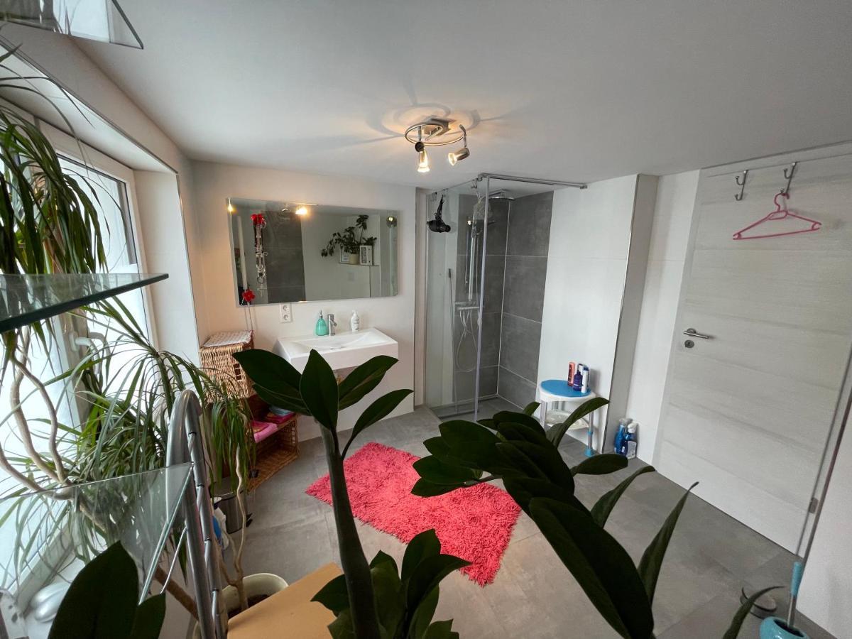 Willingenvakanties,Modern Quality Apartments Restyled Nov 2022 Willingen 2023 Экстерьер фото